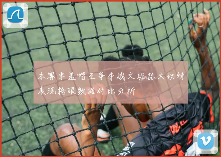 本赛季盖帽王争夺战文班赫夫切特表现抢眼数据对比分析