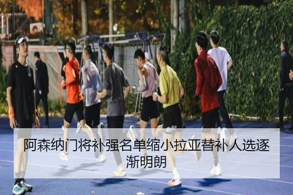 阿森纳门将补强名单缩小拉亚替补人选逐渐明朗